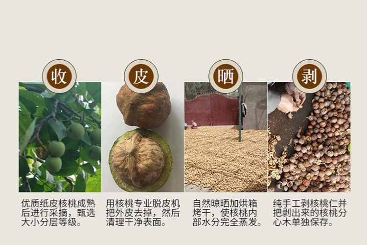 152264865557871663.gif 天然野生分心木_14.gif