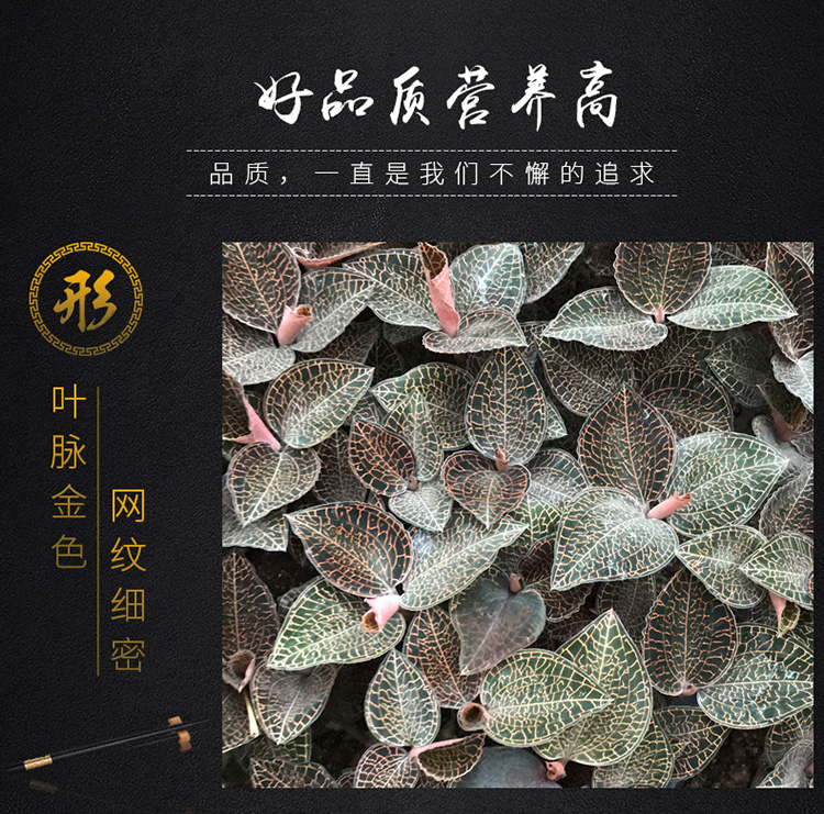 153792785956341103.jpg 1.jpg