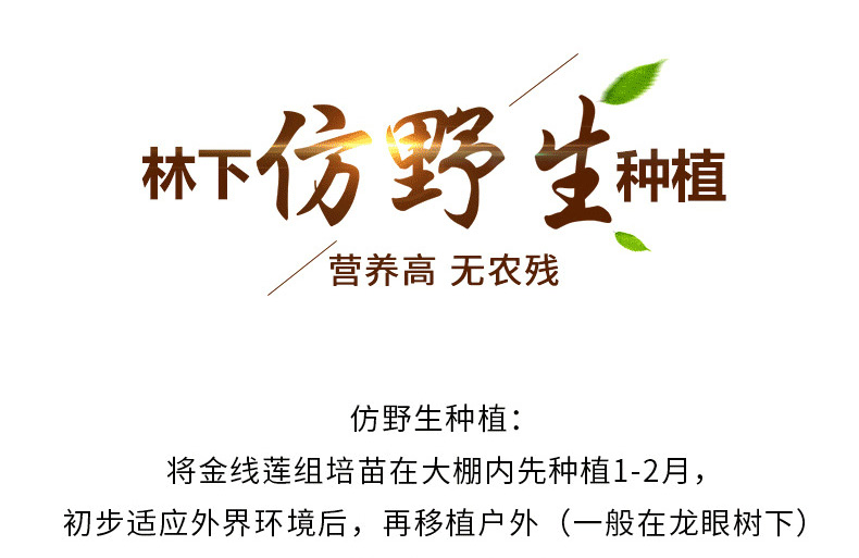 153792868057186802.jpg 153792868057186802.jpg